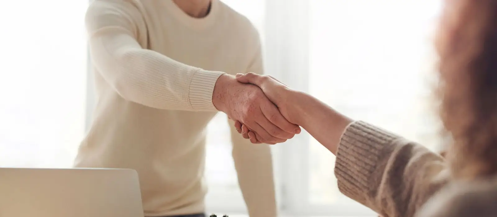 Business owner and consultant shaking hands across a desk