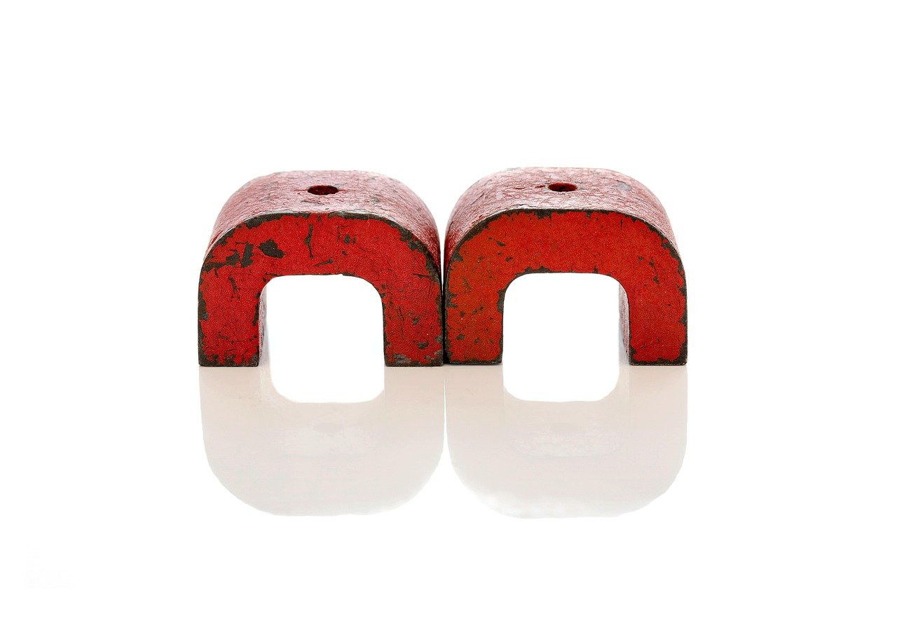 Tips for Lead Magnets - BizAutomate.ai